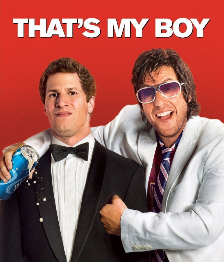 That's My Boy (2012) poster - Download on TeraMovies