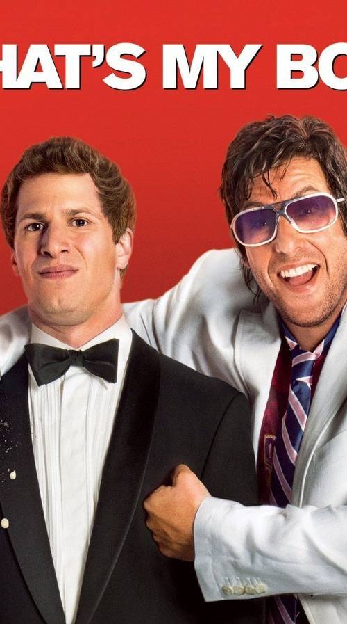 That's My Boy (2012) poster - Download on TeraMovies