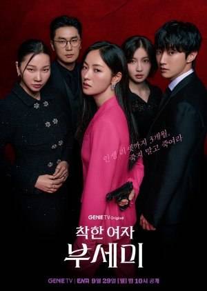 MS INCOGNITO poster - Download on TeraMovies