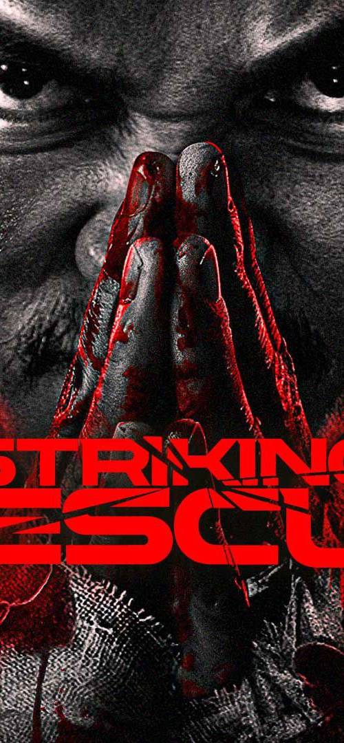 Striking Rescue (2024) poster - Download on TeraMovies
