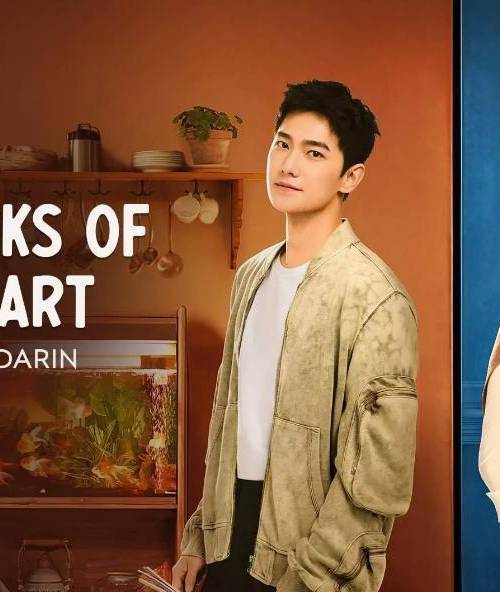 FIREWORKS OF MY HEART poster - Download on TeraMovies