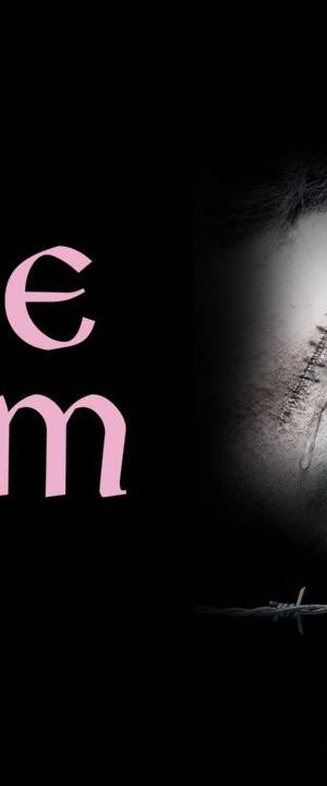 Tere Naam (2003) poster - Download on TeraMovies