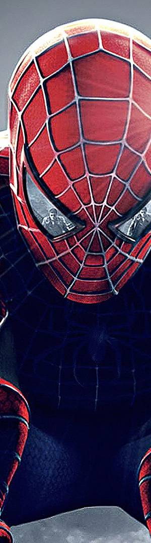 Spidermen ALL MOVIES (2002) poster - Download on TeraMovies
