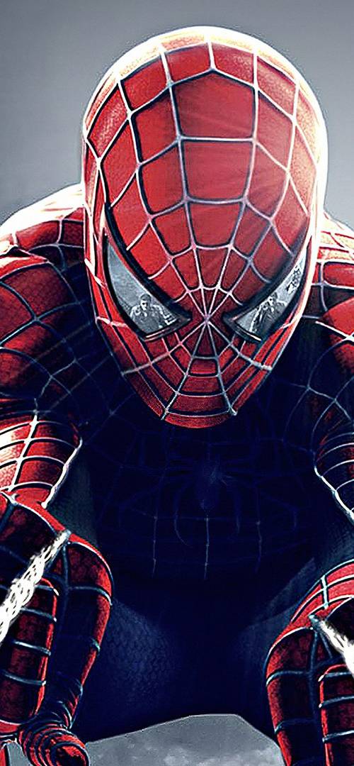 Spidermen ALL MOVIES (2002) poster - Download on TeraMovies